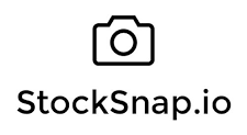 Logo StockSnap