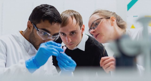 PhD students in laboratory